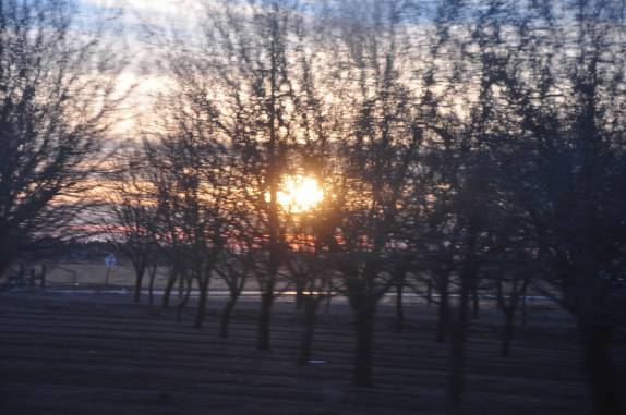 Contatos imediatos? Disco voador? Não! É apenas o sol se pondo por detrás da vegetação, perto de Roswell, no Novo México, nos Estados Unidos